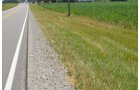 Property photo 29 - 51.5 Acres Offered in 5 tracts, 2 Farm Sites